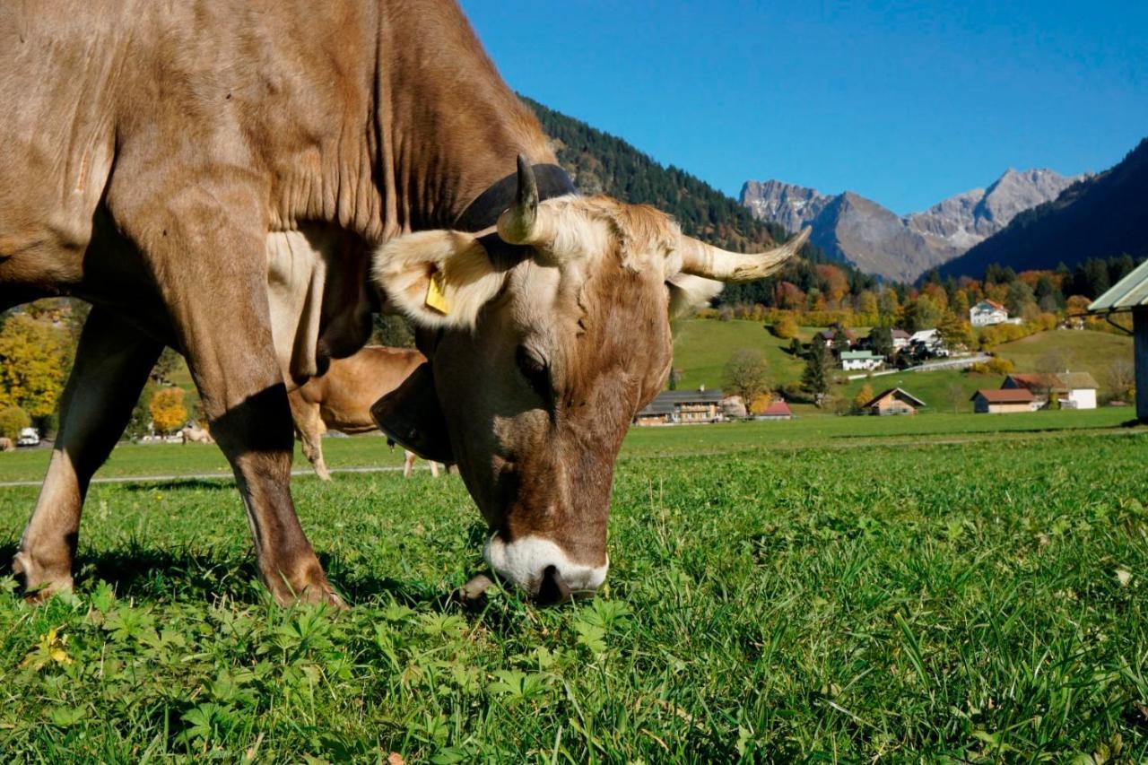 Wiesenblick Oberstdorf Luaran gambar